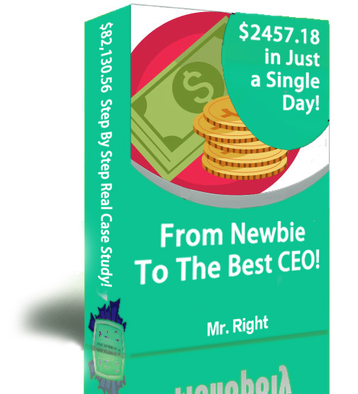 $2457.18 A Day! From Newbie To The Best CEO!